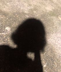 点击看大图 -MY HAIR ARDOR
