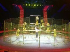 -珠海横琴长隆《卡卡虎奇遇记》