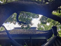 -西泠印社