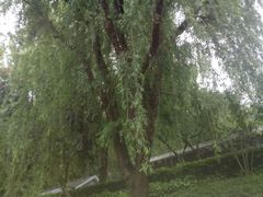 -重庆彩云湖湿地公园