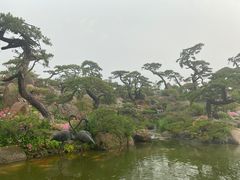 -罗红摄影艺术馆