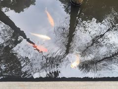 -广州兰圃