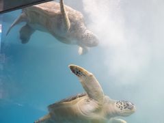 -厦门海底世界