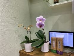 -雅梵伊容·护肤·造型