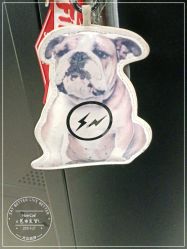 -HairCode芭曲发型