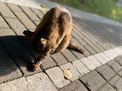 -苏州河梦清园环保主题公园