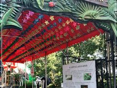 -上海大自然野生昆虫馆(东方明珠·爬宠昆虫探索中心)
