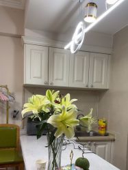 -苗塑堂减肥艾灸