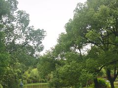 -苏州上方山国家森林公园