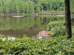 -重庆彩云湖湿地公园