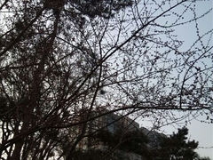 -紫竹院公园冰场