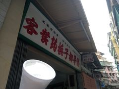-洪馨椰子