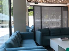 -爱妮康宠物医院·干细胞免疫细胞·肿瘤·心脏(张江店)