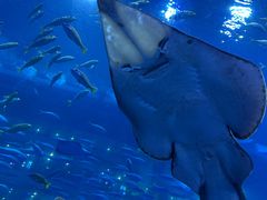 -成都浩海立方海洋公园