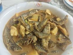 -途肴·老农饭庄(百里峡店)