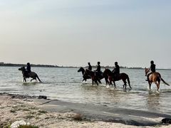 -潍坊欢乐海沙滩景区