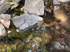 -北京凤凰岭