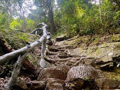 -梧桐山风景名胜区