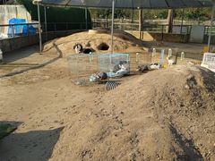 -前小桔亲子创意农场·草莓采摘·露营烧烤