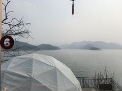 -望湖烤鱼