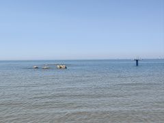 -老虎石海上公园