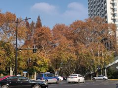 -复旦大学附属中山医院(西院区)