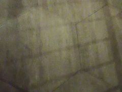 -巢爷老味(东方红店)