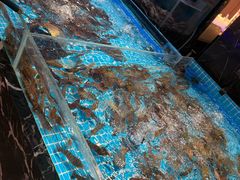 -山海•蒸汽活海鲜自助(皇庭广场店)