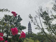 -顺峰山公园