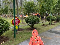 -合肥滨湖国家森林公园