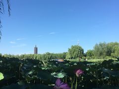 -西海子公园