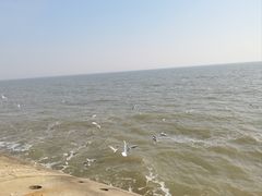 -天津妈祖文化园