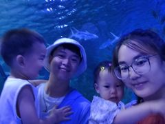 -泉城欧乐堡海洋极地世界