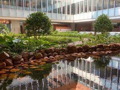 -香港大学