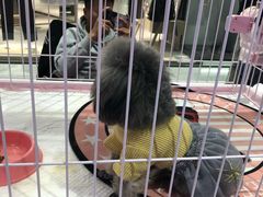 -北京华联购物中心(同成街店)
