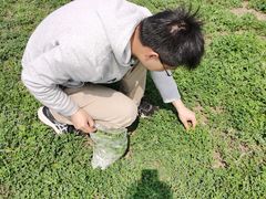 -汉长安城未央宫国家考古遗址公园