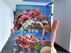 -大阪海游馆