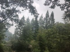 -藏龙百瀑风景区