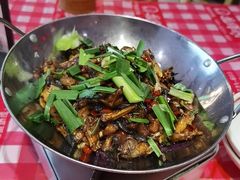 -龙师傅卤炒(天马店)
