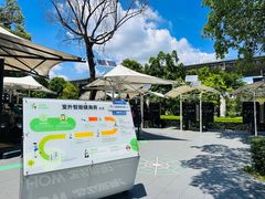 -阳台山森林公园