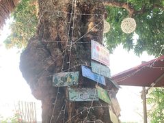 -泰堤坊(淡水体育馆店)