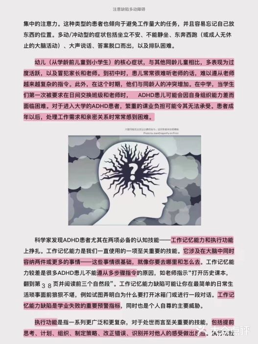 金色雨林学习力培优(专注力提升)图片