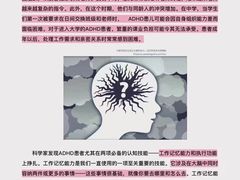 -金色雨林学习力培优(专注力提升)