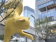 -深圳湾万象城(南山店)