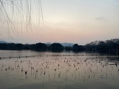 -西湖游船