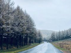 -塞罕坝国家级自然保护区