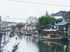 -莲花岛景区