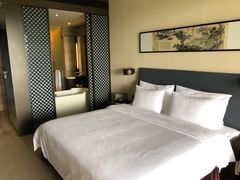 -深圳隐秀山居酒店