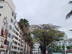 -三亚市第二中学