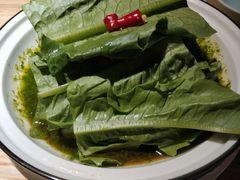 凉拌油麦菜-六月雪干锅(涪城万达广场店)